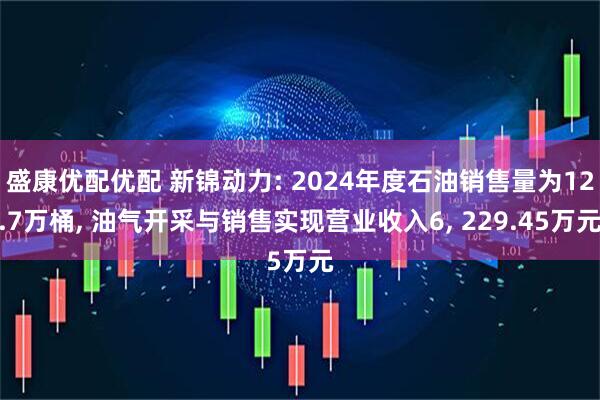 盛康优配优配 新锦动力: 2024年度石油销售量为12.7万桶, 油气开采与销售实现营业收入6, 229.45万元