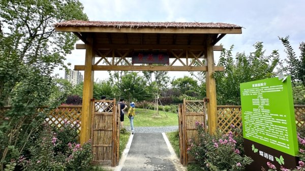 牛道配资 上海首座紫薇园开放了！高温中爆花绽“美颜”，填补申城夏季花少缺憾