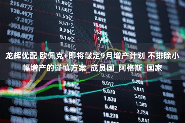 龙辉优配 欧佩克+即将敲定9月增产计划 不排除小幅增产的谨慎方案_成员国_阿格斯_国家