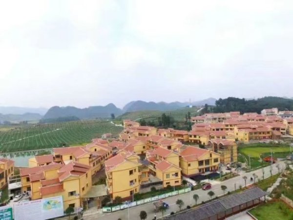 金御网 从平坝灰鹅“三产融合”到凯里酸汤规模扩张，新希望助力贵州多地产业带动乡村经济发展